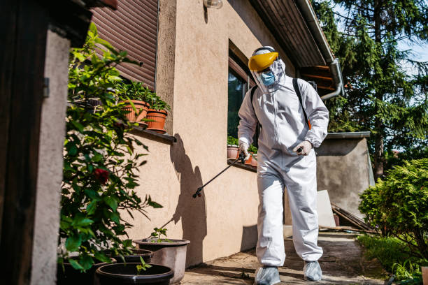 Best Affordable Pest Control Services  in Huntington, VA