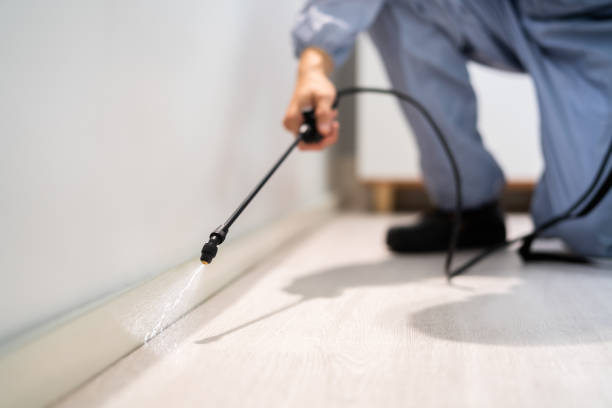 Pest Control for Restaurants in Huntington, VA