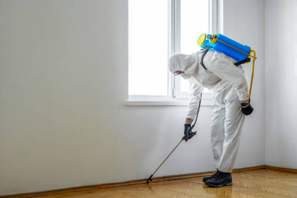 Best Flea Control Services  in Huntington, VA