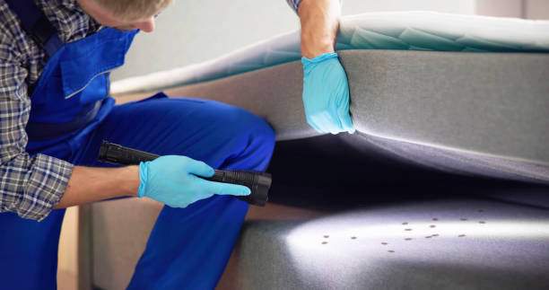 Best Best Pest Control Companies  in Huntington, VA