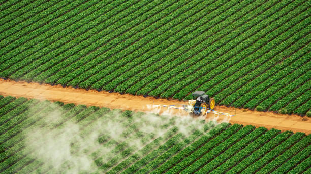 Best Pest Removal Services  in Huntington, VA